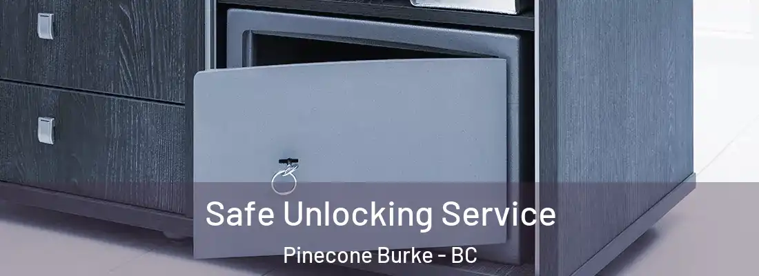  Safe Unlocking Service Pinecone Burke - BC