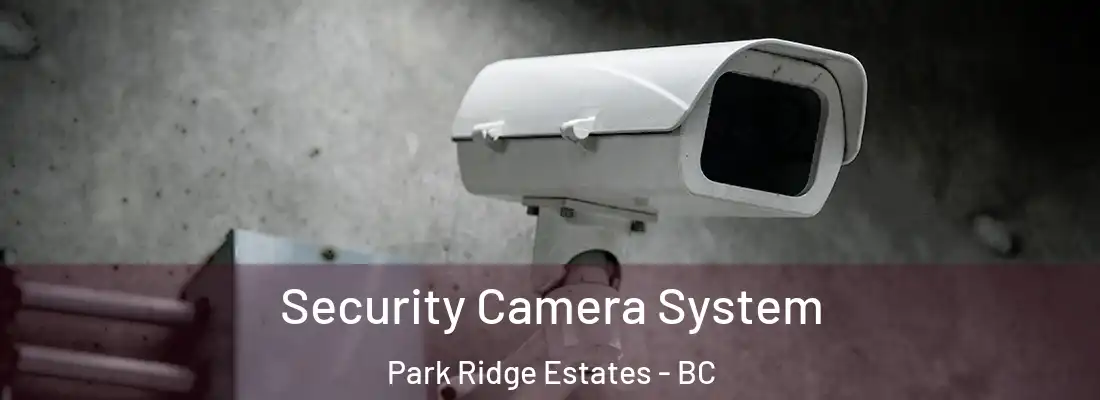  Security Camera System Park Ridge Estates - BC
