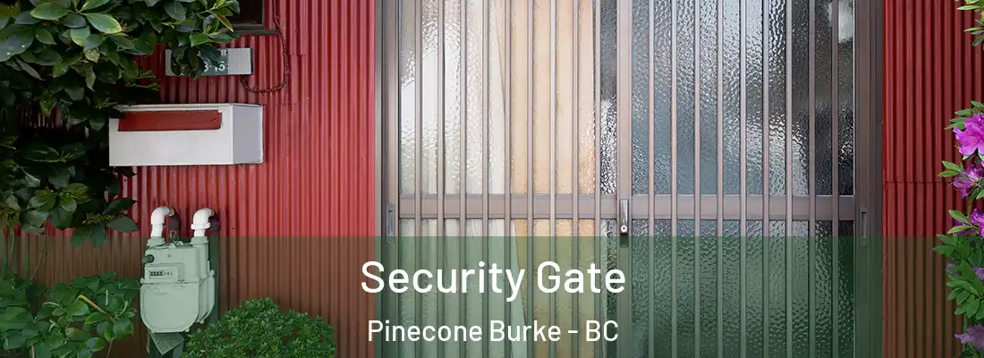 Security Gate Pinecone Burke - BC