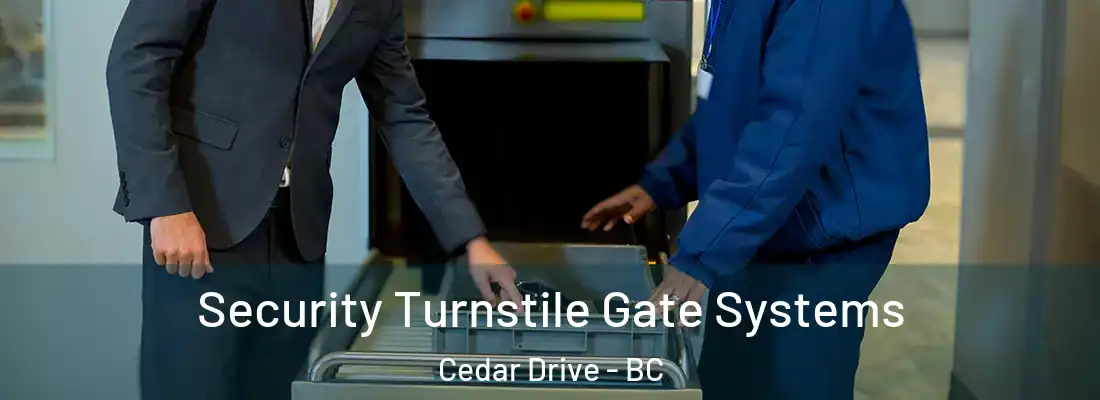  Security Turnstile Gate Systems Cedar Drive - BC
