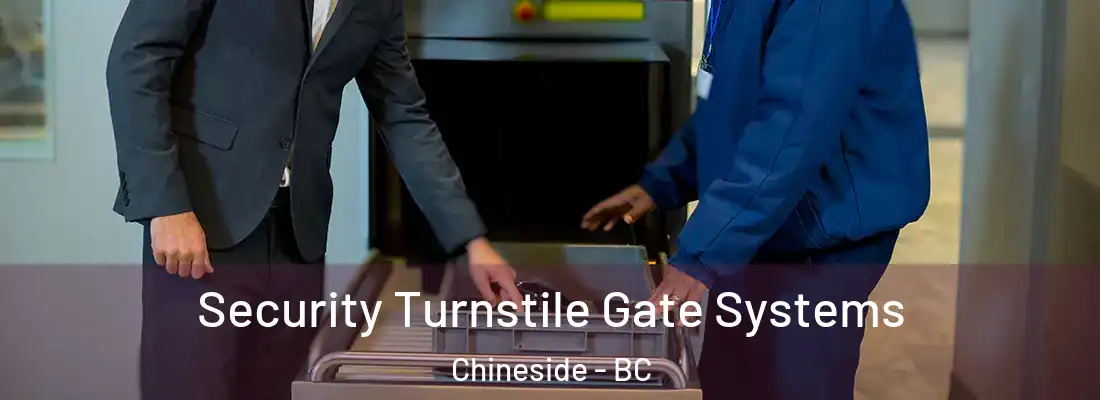  Security Turnstile Gate Systems Chineside - BC