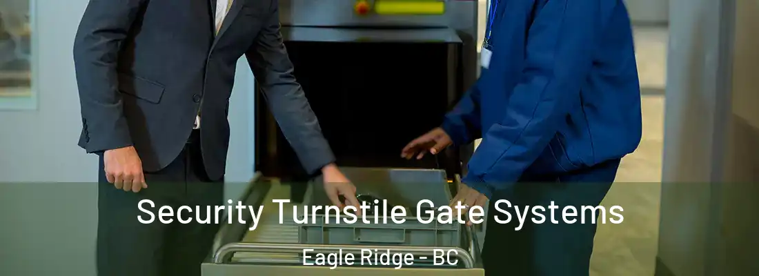  Security Turnstile Gate Systems Eagle Ridge - BC
