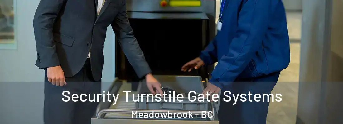  Security Turnstile Gate Systems Meadowbrook - BC