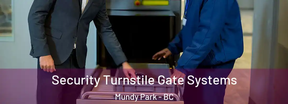  Security Turnstile Gate Systems Mundy Park - BC