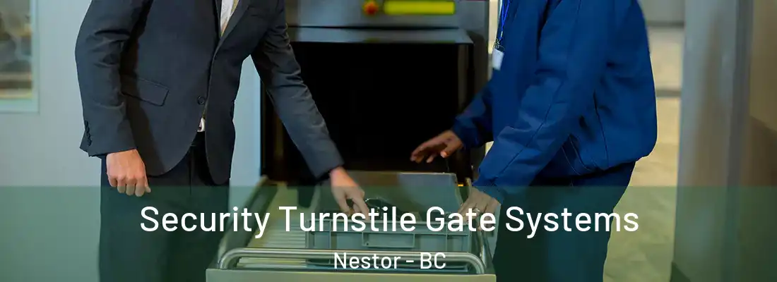  Security Turnstile Gate Systems Nestor - BC