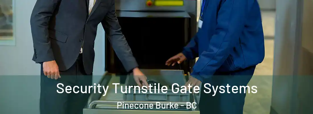  Security Turnstile Gate Systems Pinecone Burke - BC