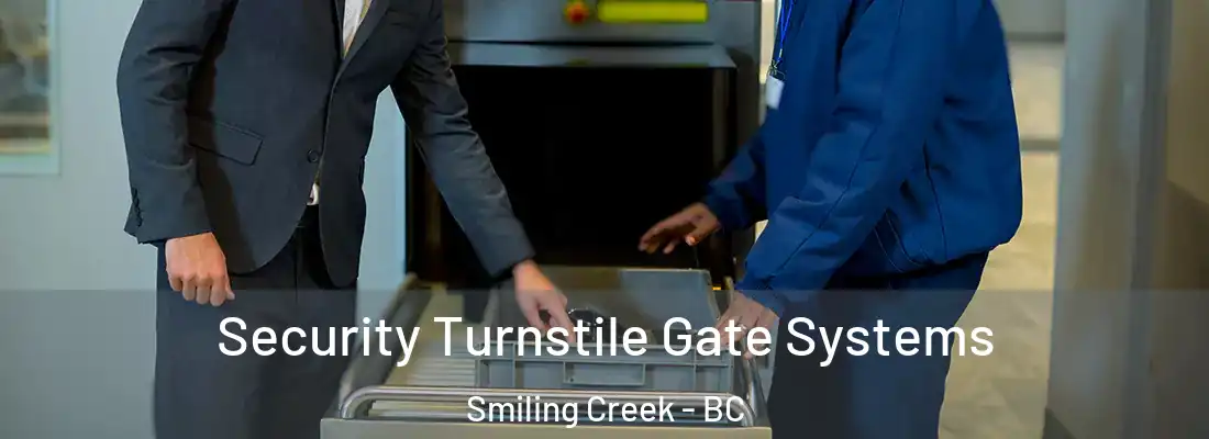  Security Turnstile Gate Systems Smiling Creek - BC