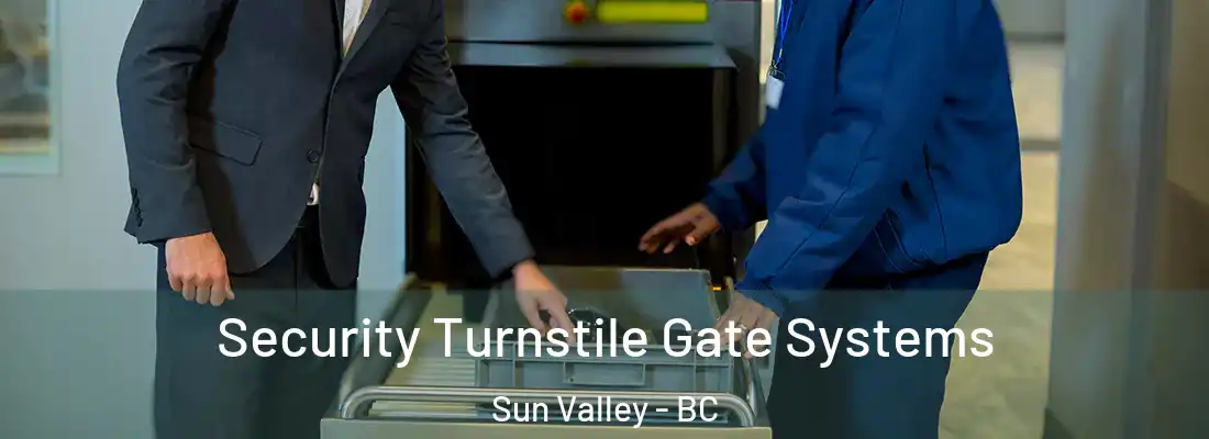 Security Turnstile Gate Systems Sun Valley - BC