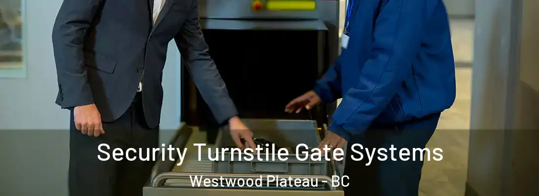  Security Turnstile Gate Systems Westwood Plateau - BC