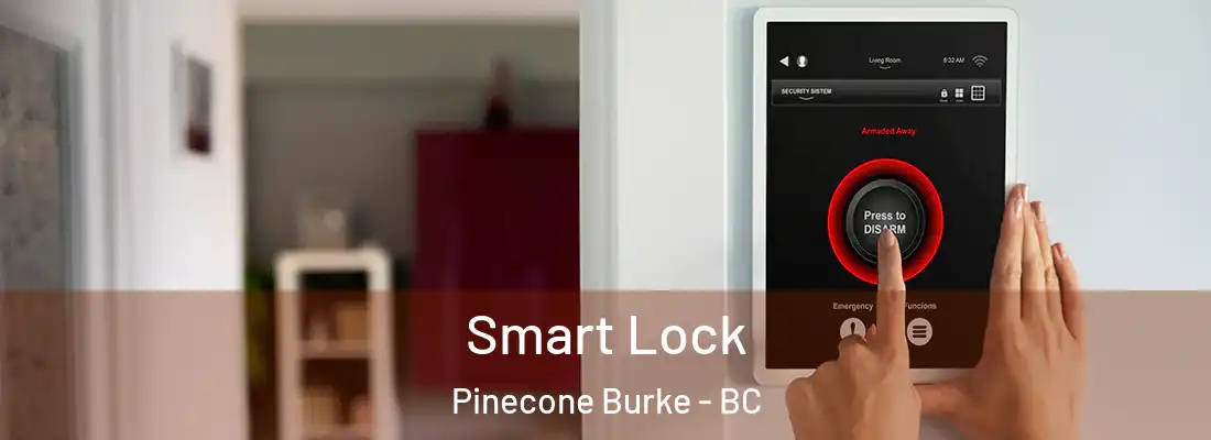  Smart Lock Pinecone Burke - BC