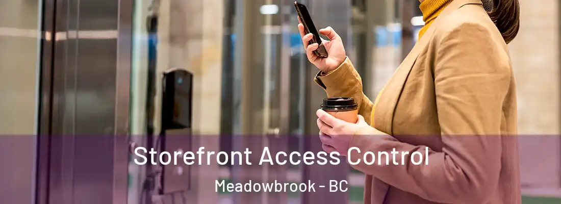  Storefront Access Control Meadowbrook - BC