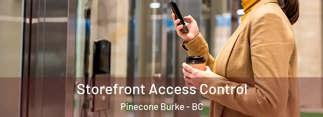  Storefront Access Control Pinecone Burke - BC