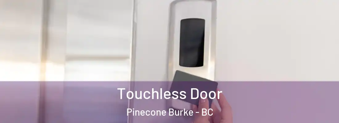  Touchless Door Pinecone Burke - BC