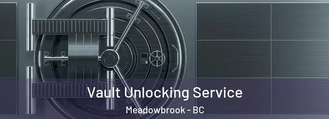  Vault Unlocking Service Meadowbrook - BC
