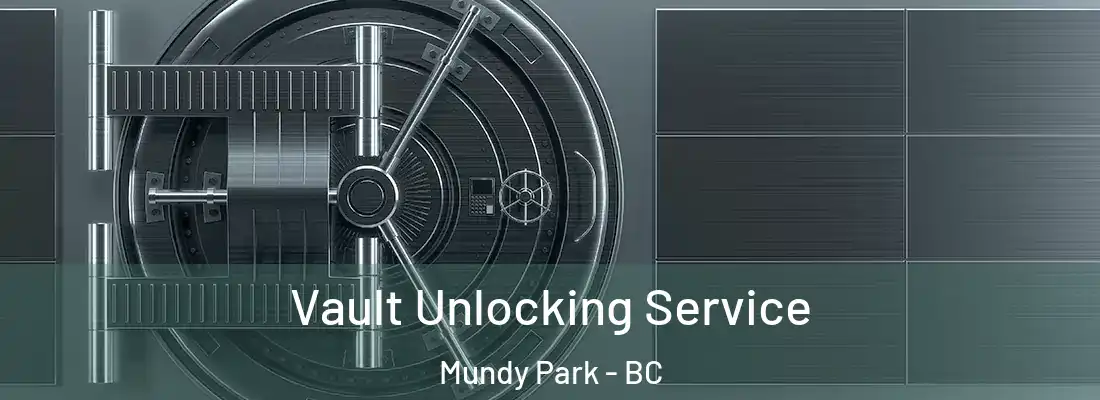  Vault Unlocking Service Mundy Park - BC