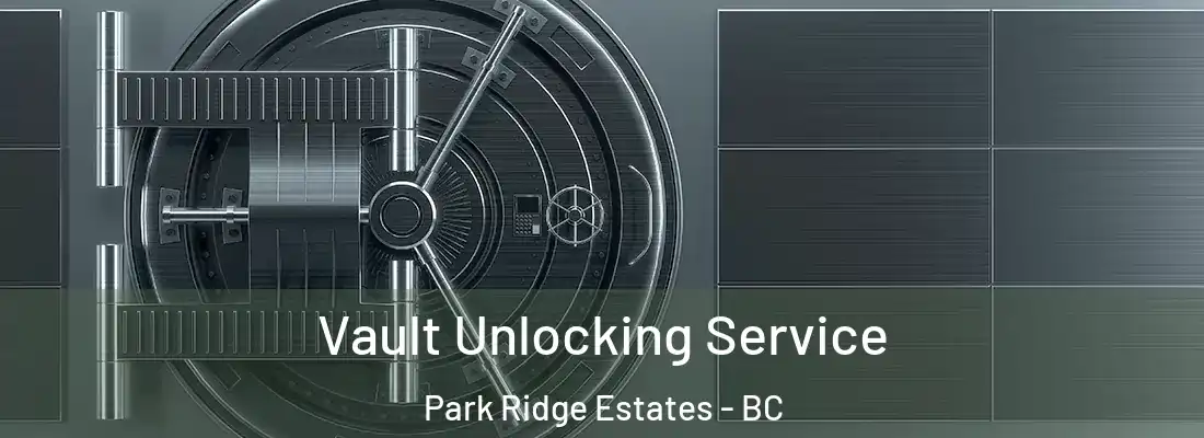  Vault Unlocking Service Park Ridge Estates - BC