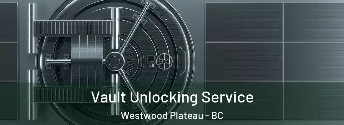  Vault Unlocking Service Westwood Plateau - BC