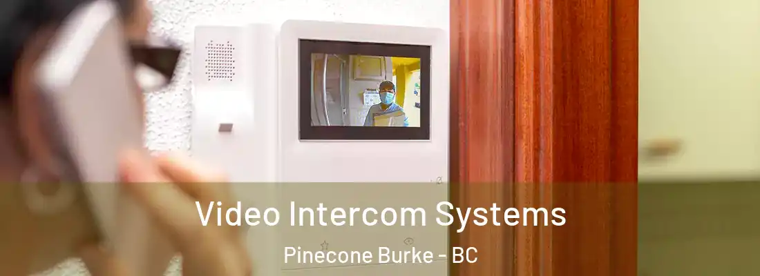  Video Intercom Systems Pinecone Burke - BC