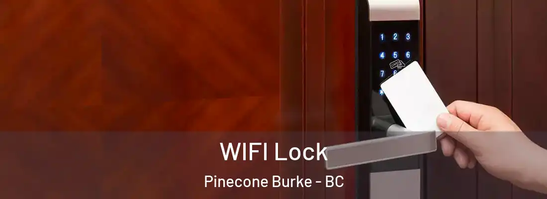  WIFI Lock Pinecone Burke - BC