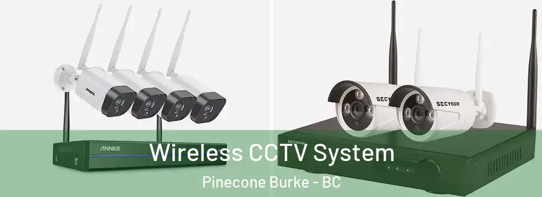  Wireless CCTV System Pinecone Burke - BC